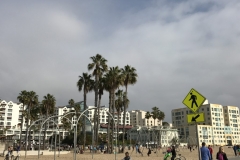 Venice Beach