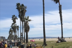 Venice Beach