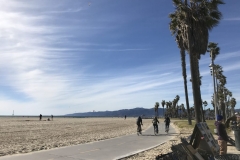 Venice Beach bike ride